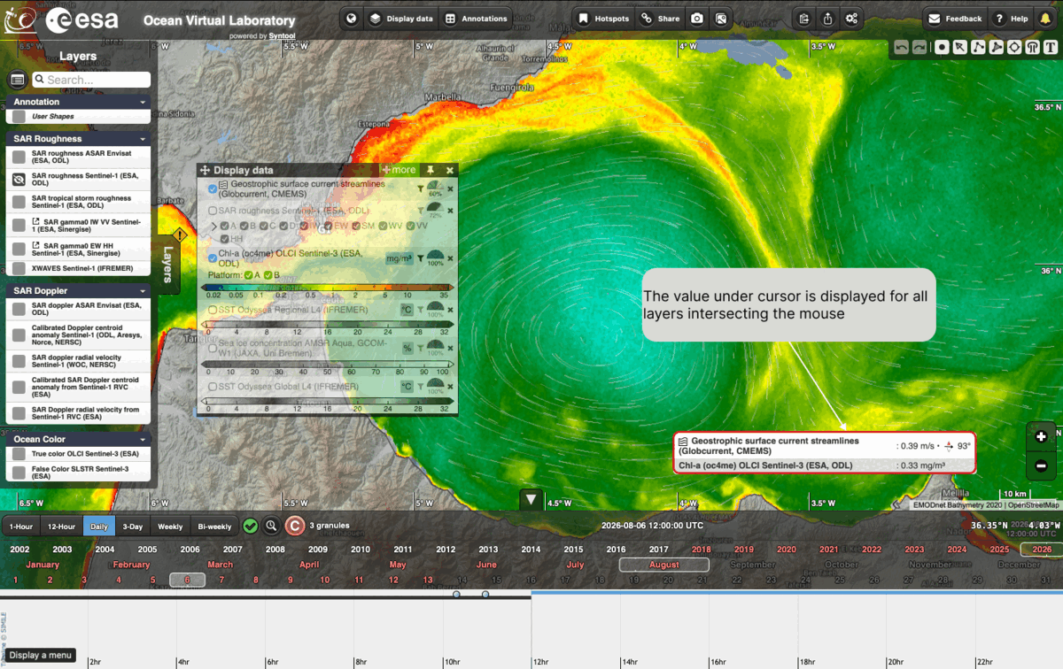 The box at the bottom right of the map giving the value under the cursor for each of the layers displayed